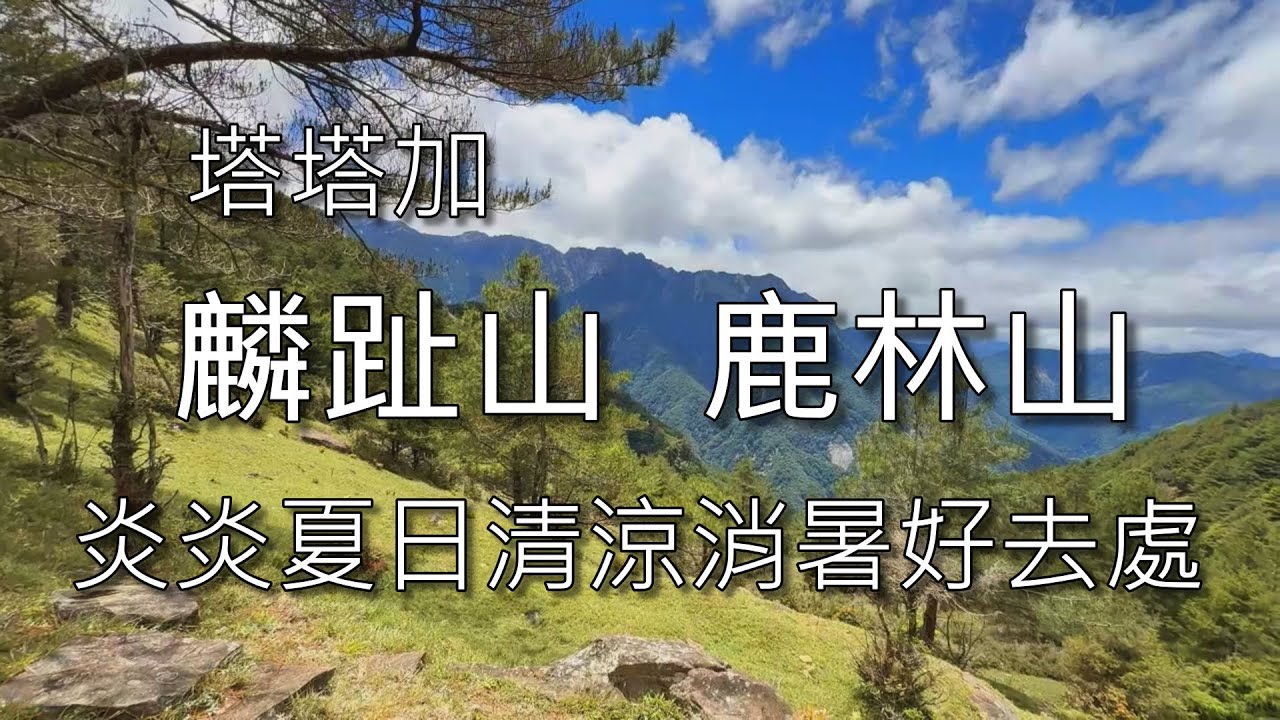 麟趾山 鹿林山，老少咸宜景色優美，視野極佳，夏天消暑度假好去處，時值毛地黃盛開季節沿途花團錦簇