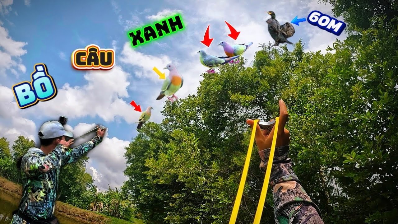 Cầm Ná Đi Săn Thì Gặp 2 Ná Thủ, Rủ Nhau Rình Bầy Bồ Câu Xanh Gần 100 Con… || Trung Ku Nhí