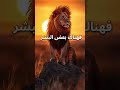اكسبلور حالات واتس انا لا أحقد على احد اكسبلور حالات واتس انا لا أحقد على احد