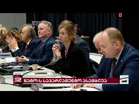 თინა ბოკუჩავა კოპენჰაგენში NATO-ს საპარლამენტო ასამბლეას ესწრება