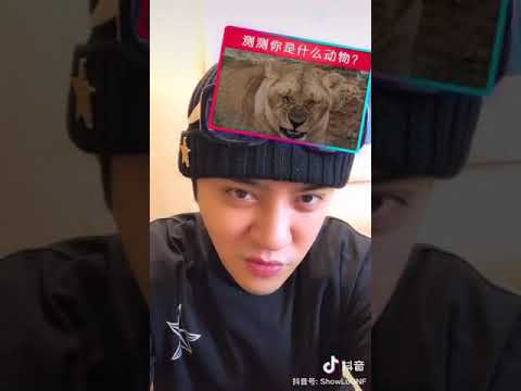 抖音-明星挑战#测试是什么动物？罗志祥是老虎，邓紫棋居然是.....🐻？？？