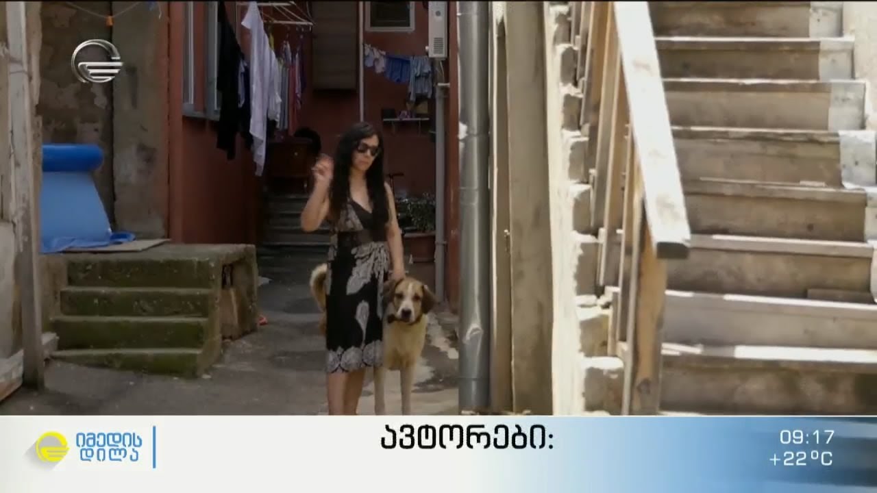 ცხოველთა მოვლა-პატრონობის წესის დარღვევის შემზარავი ფაქტი თბილისში