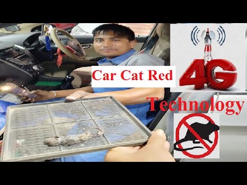 rat problem in car ||rat repellent for car || Protect Car From Rat