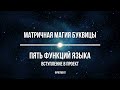 Матричная Магия Буквицы. ПЯТЬ функций Языка. Вступление в проект. Фрагмент