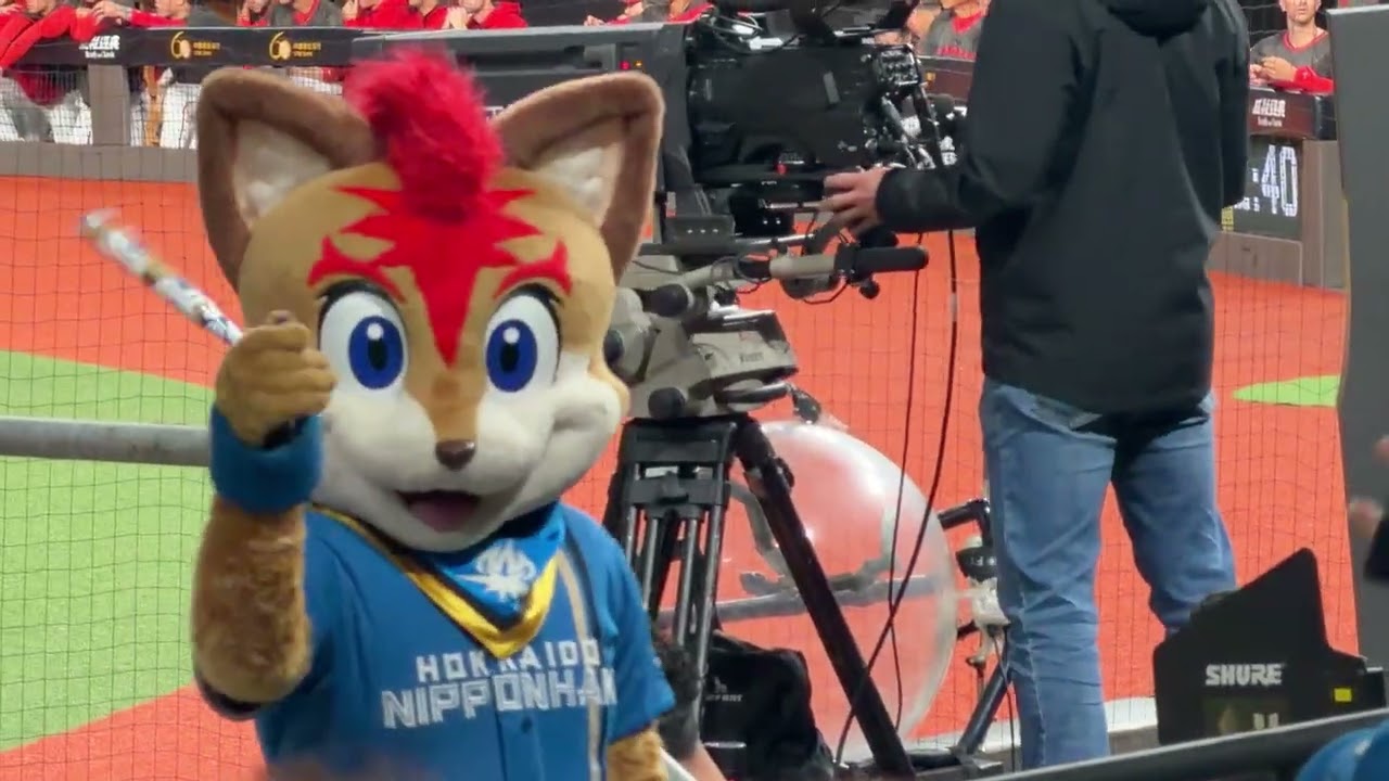 9局下2026.2.28 2026台日棒球國際交流賽 北海道日本火腿鬥士 - 味全龍 台北大巨蛋 9局下 啦啦隊應援