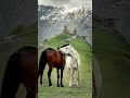 #Mahler Symphony no 4 - Chamber version for 16 players. #salonmusic #classicalmusic