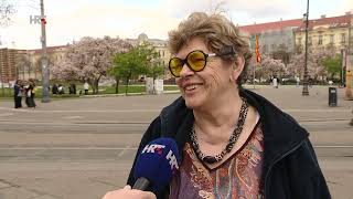 Reportaže Anketa - Bolovi Hrt