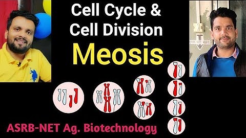 Meosis !!(Cell Cycle & Cell Division)!!