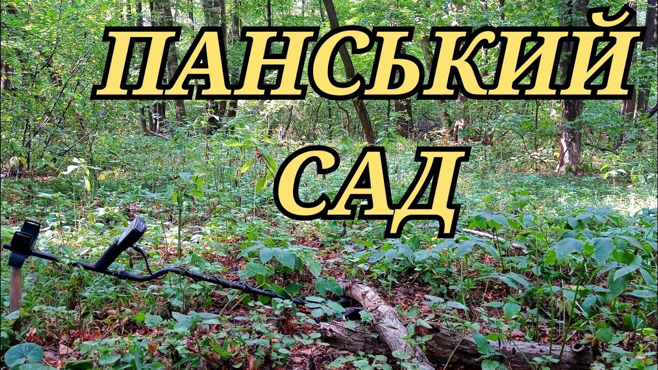 ПАНСЬКИЙ САД в СТАРОМУ ЛІСІ▪️КОП 2024 УКРАЇНА▪️КОП В ЛІСІ▪️ПОЗИЦІЇ ПО 2 СВІТОВІЙ ВІЙНІ▪️WW2▪️