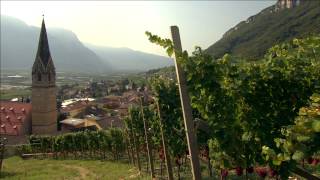 Südtirolalto Adige Wine - Educational Film