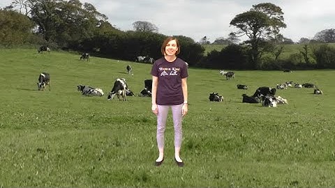 Wake Up You Lazy Bones: Intro to Form