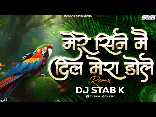 Mere Sine Me Dil Mera Dole dj song | Dj Stab K | Pinjre Men Popat Bole class=