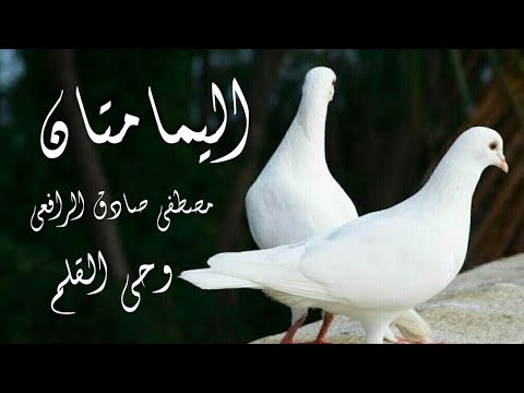 كتاب صوتي وحى القلم ٢ اليمامتان مصطفى صادق الرافعي