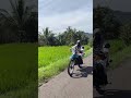 #ts100 #ts125 #suzukits #trailjadul #triltua #gtt #gengtriltua
