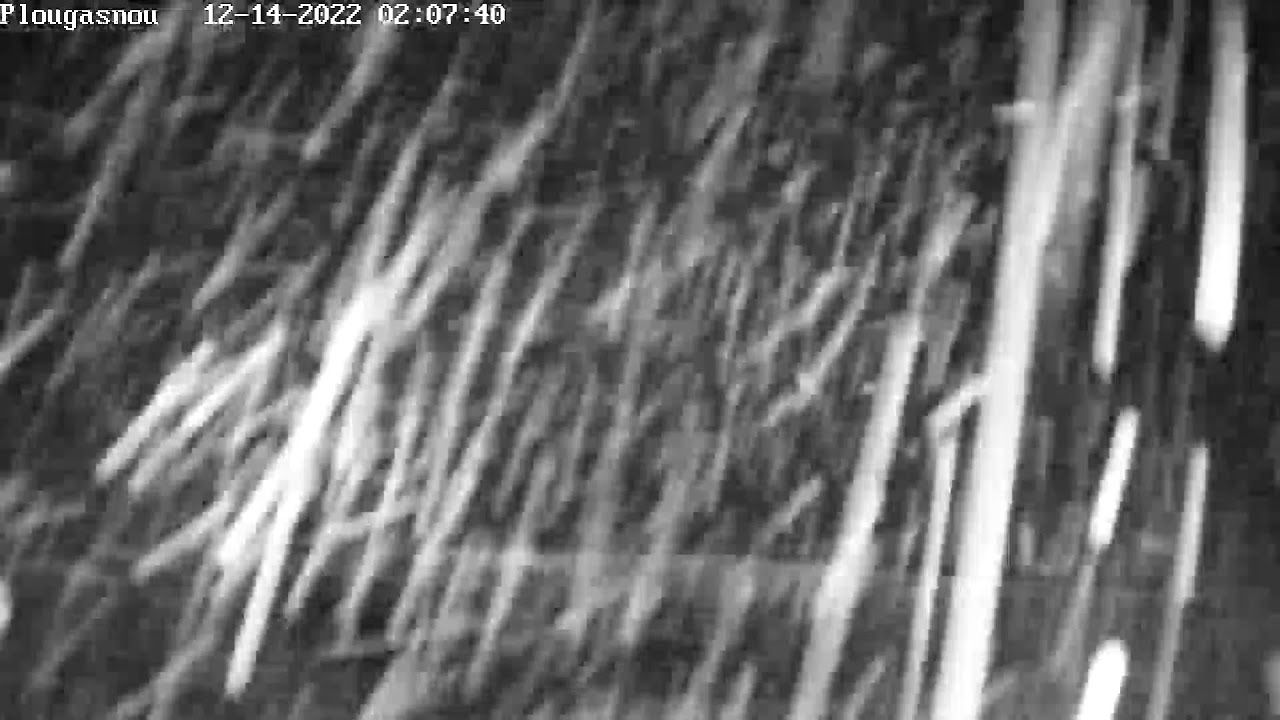 Webcam Plougasnou