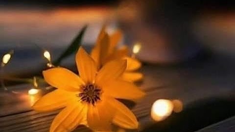 الشيخ محمد حسن النادي رحمه الله\ تلاوة نادرة من سورتي الضحى و الشرح