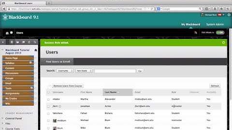 Removing Instructor Users From Blackboard