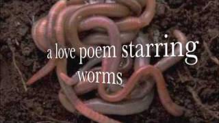 What Feeds Us Book Trailer