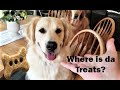 Funny Dogs Reaction To Invisible Treats!