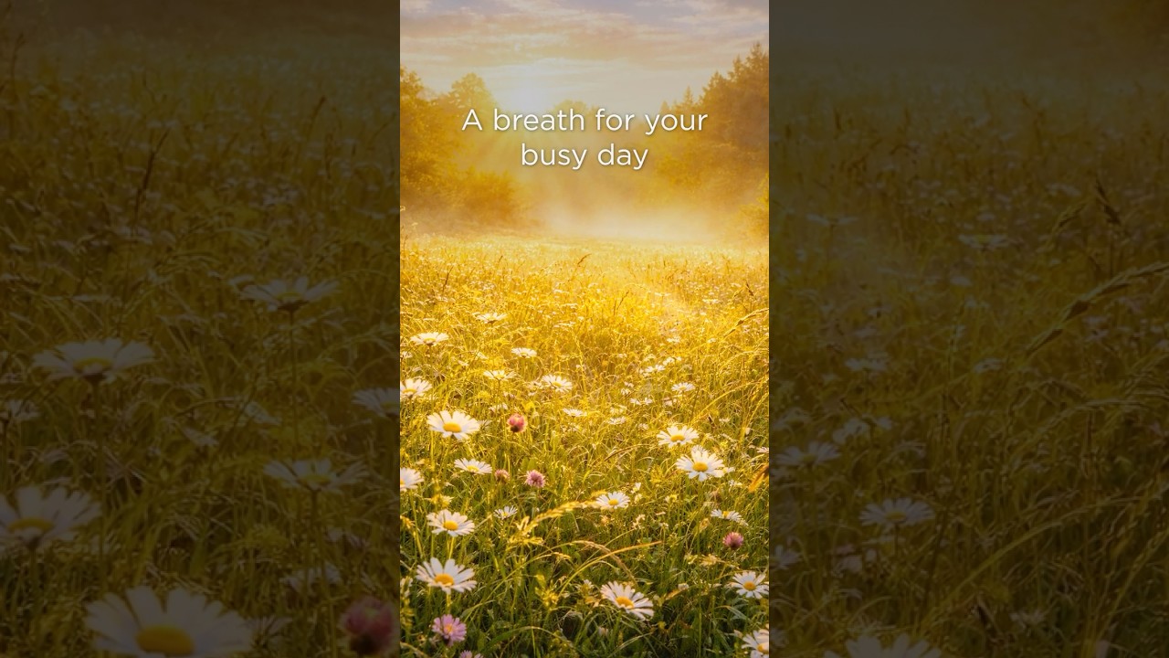 Relaxing Ambient Piano Music for Stressful Days 