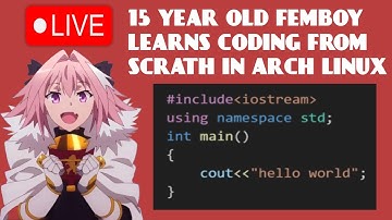 15 Year old learns raylib from scratch! On hyprland, Arch and Neovim, BTW!!