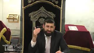The "BLESSING" of Sefiras HaOmer - Lomdus and Machshava of Rav Moshe Shapiro