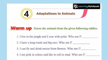 C4 Adaptations in Animals