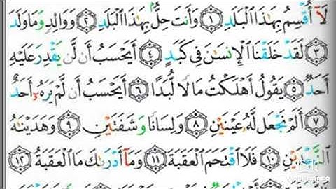 مصحف التجويد سورة البلد يحيى حوى