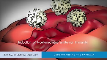 Oncolytic Virus-Mediated Immunotherapy: A Combinatorial Approach for Cancer Treatment