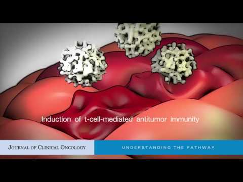Video: Imunoterapie Cu Virus Oncolitic: Perspective Viitoare Pentru Oncologie