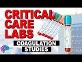 Coagulation Studies Quiz