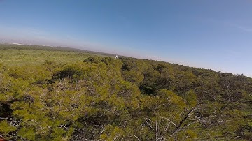 Forest proximity Fpv