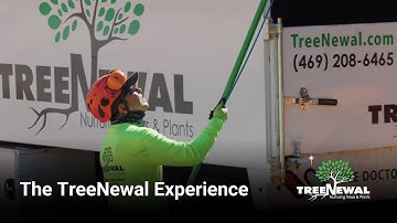 The TreeNewal Experience
