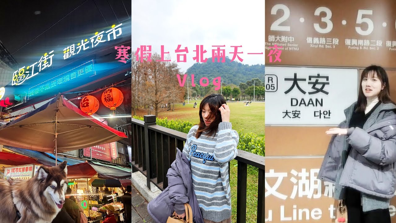 [vlog]# 36 寒假上台北兩天一夜遊｜不管去哪個休息站都要吃的鹹酥雞/趁過年前開車背上搬行李🧳去租屋處/住了好多次的飯店/臨江街夜市爆多人的pizza店🍕/大湖公園走走真的很chill/🦢