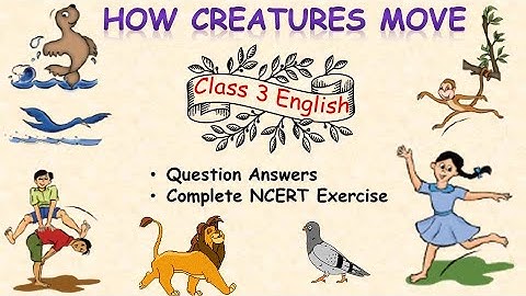 How Creatures Move| Question Answers| Complete NCERT Exercise| Class 3 English| By Himanshi Sharma