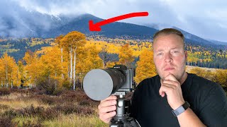 Where's the Best Location for Fall Photography in Arizona