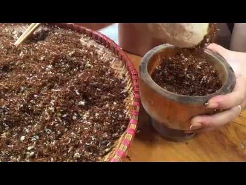 cách làm muối kiến vàng phú yên