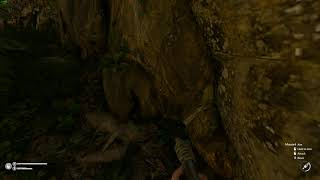 Weird Jaguar Spawn