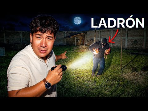 La Verdad Sobre Mi Terreno y el Bunker