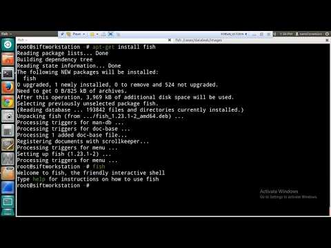 SANS SIFT - Install Fish