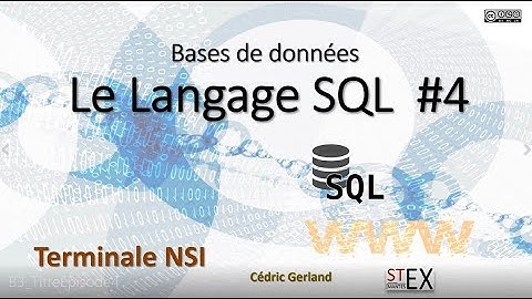 B3 Le Langage SQL #4