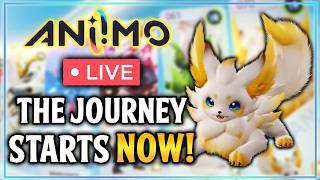 LAUNCH DAY! Did They Change EVERYTHING! New Aniimo, New Teams, NEW GAME! | Aniimo Guide