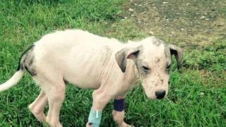 John Wayne Transformation