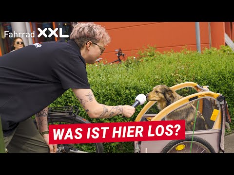 dachzelt 180 breit Voyage L – Go Overland Kanada scooter adults Nike Men City Knit Light:No Light