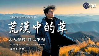 [半生风沙中飘摇 伤痛只能自己熬] | 《荒漠中的草》 - 老板 ｜ Lao Ban - Grass in the Desert【🎧高质音双语动态歌词】 #CoolSong酷歌