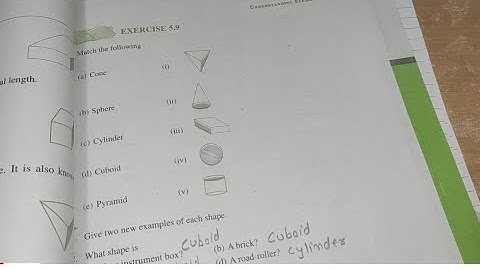 Ncert class 6th Maths chapter - 5 Ex - 5.9 understanding elementary shapes