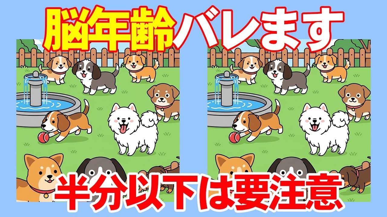 【間違い探し×脳トレ】１つも見つけられないあなたは60代？！認知症予防と集中力アップトレーニングの10分間。　010