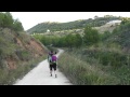 CAMINO FRANCES. ETAPA 5. PUENTE LA REINA - VILLAMAYOR DE MONJARDIN