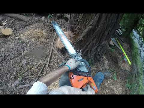 Jacking Along The Powerlines, House - Husqvarna 572XP