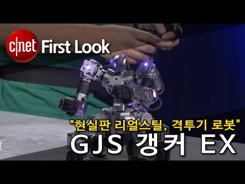 &amp;quot;현실판 리얼스틸, 격투기 로봇&amp;quot;  GJS 갱커 EX